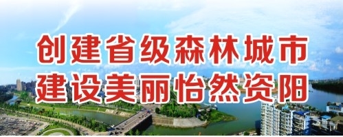 欧美电影xoxo高潮抽搐视频创建省级森林城市 建设美丽怡然资阳